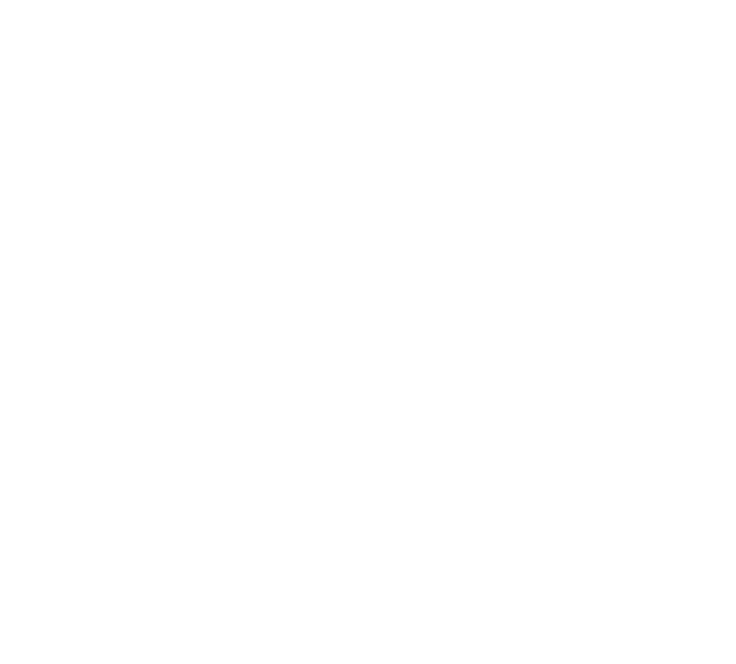 JetLines Logistics